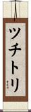 ツチトリ Scroll