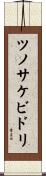 ツノサケビドリ Scroll
