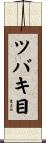 ツバキ目 Scroll