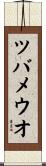 ツバメウオ Scroll