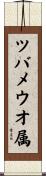 ツバメウオ属 Scroll
