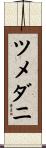 ツメダニ Scroll