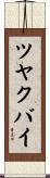 ツヤクバイ Scroll
