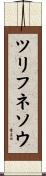ツリフネソウ Scroll