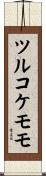 ツルコケモモ Scroll