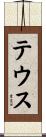 テウス Scroll
