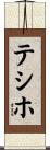 テシホ Scroll