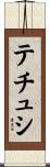 テチュシ Scroll