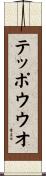 テッポウウオ Scroll