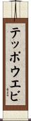 テッポウエビ Scroll