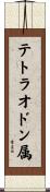 テトラオドン属 Scroll