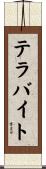 テラバイト Scroll