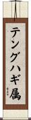 テングハギ属 Scroll
