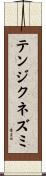 テンジクネズミ Scroll