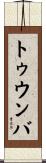 トゥウンバ Scroll