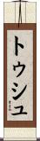 トゥシュ Scroll