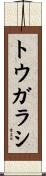 トウガラシ Scroll