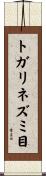 トガリネズミ目 Scroll