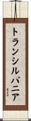 トランシルバニア Scroll
