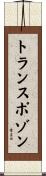 トランスポゾン Scroll