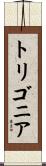 トリゴニア Scroll