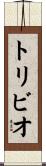 Toribio Scroll