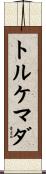 トルケマダ Scroll