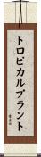 トロピカル・プラント Scroll