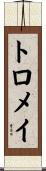 トロメイ Scroll