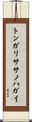 トンガリササノハガイ Scroll