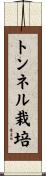 トンネル栽培 Scroll
