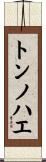 トンノハエ Scroll