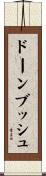 ドーンブッシュ Scroll