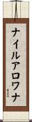 ナイルアロワナ Scroll