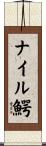 ナイル鰐 Scroll
