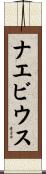 ナエビウス Scroll