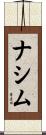 Nassim Scroll