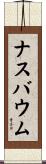 ナスバウム Scroll