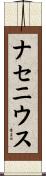 ナセニウス Scroll