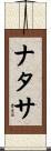 ナタサ Scroll