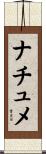 ナチュメ Scroll