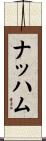 ナッハム Scroll