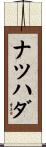 ナツハダ Scroll
