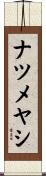 ナツメヤシ Scroll