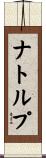 ナトルプ Scroll