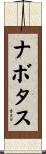 ナボタス Scroll