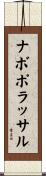 ナボポラッサル Scroll