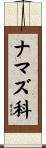 ナマズ科 Scroll