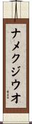 ナメクジウオ Scroll
