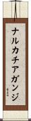 ナルカチアガンジ Scroll